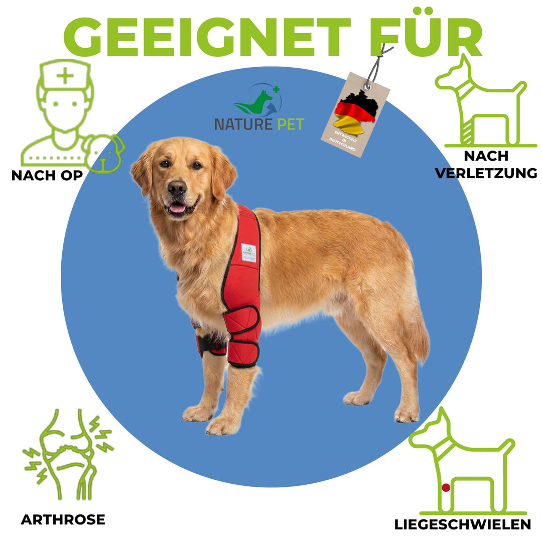 Ellenbogenbandage Hund Neopren 3mm mit Tasche für Kühl-/Wärmepad - Bild 7