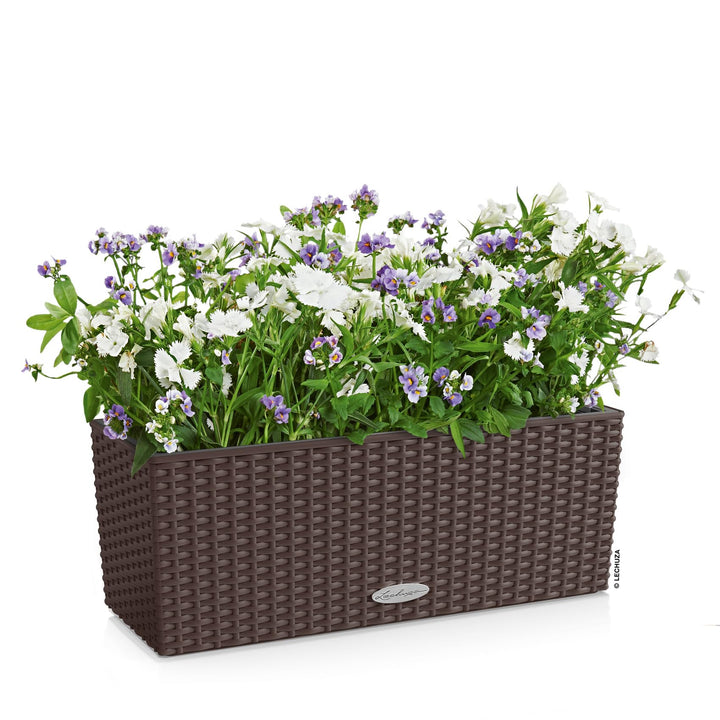 Balkonkasten mit Bewässerungssystem Flechtoptik 50cm Mokka Kunststoff - Bild 2