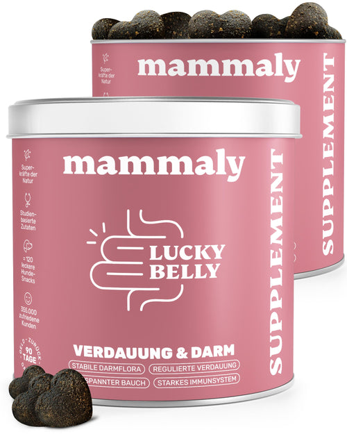 Verdauungs-Snacks Hund mit Pro- & Präbiotika 2er-Pack 700g