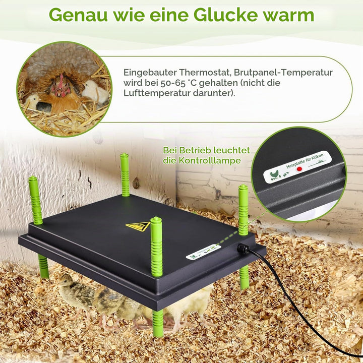 Heizplatte Küken 30x40cm höhenverstellbar 6-18cm für Geflügelaufzucht - Bild 2