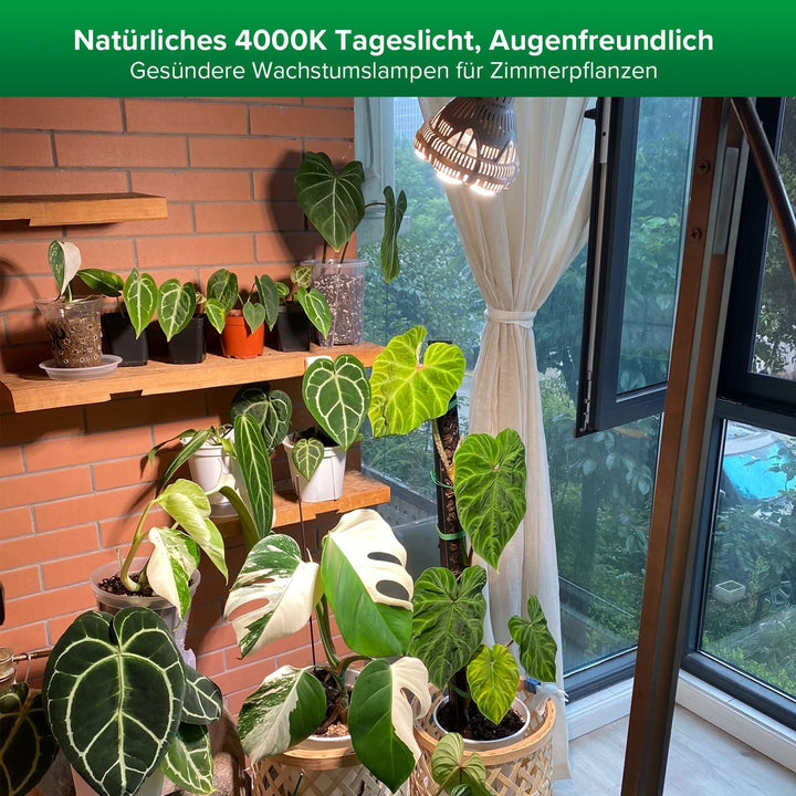 Pflanzenlampe LED E27 24W Vollspektrum 400–780nm für Zimmerpflanzen - Bild 5