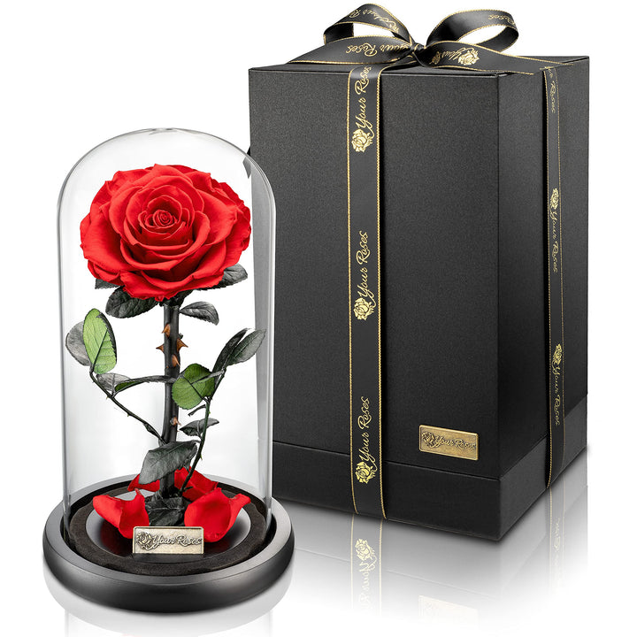 Echte Rose im Glas mit Geschenkbox Rot – Romantisches Geschenk