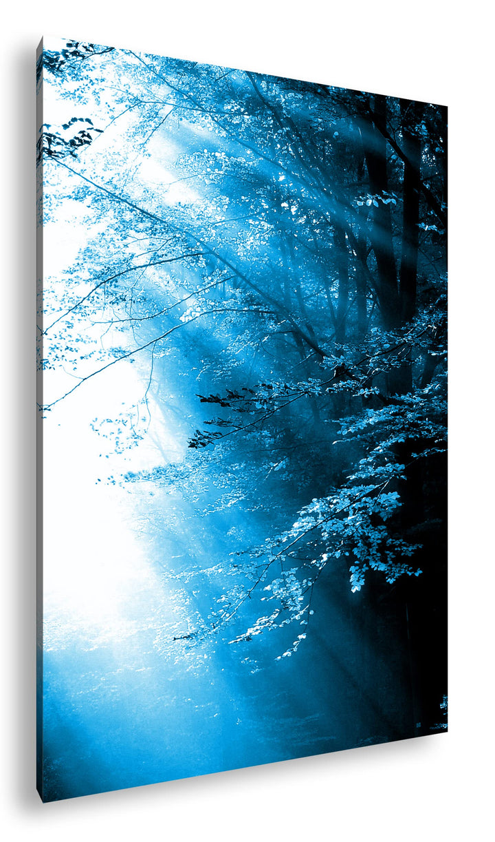 Leinwandbild Herbstwald Sonnenstrahlen Monochrom Blau 80x60 cm