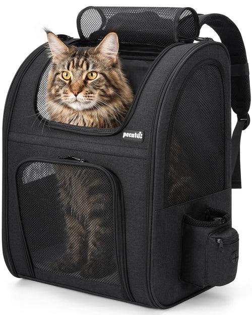 Haustier-Rucksack XL Oxford faltbar mit 4-seitigem Netz für Katzen & Hunde