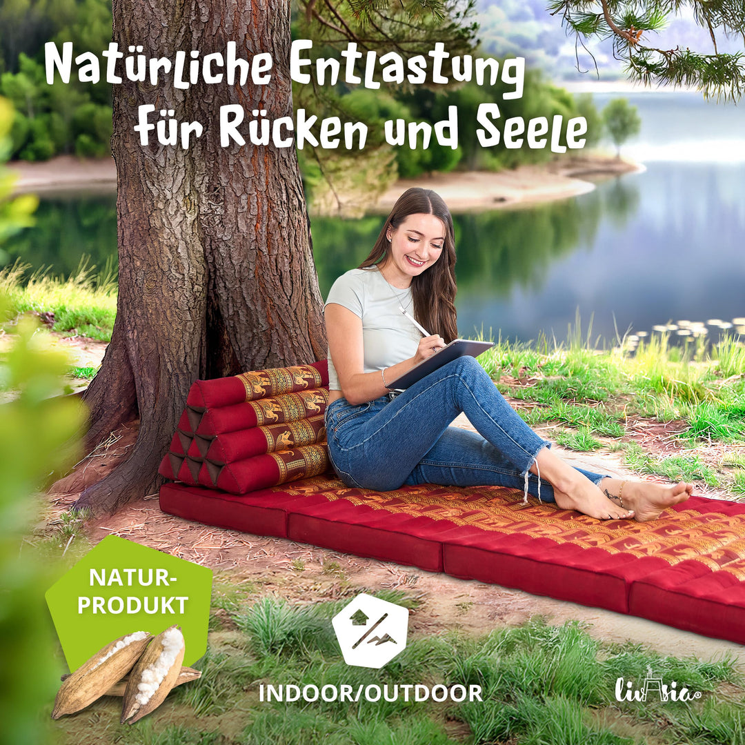 Rückenstützkissen Dreieck Thaiseide Kapok-Füllung 32x55x30cm - Bild 2
