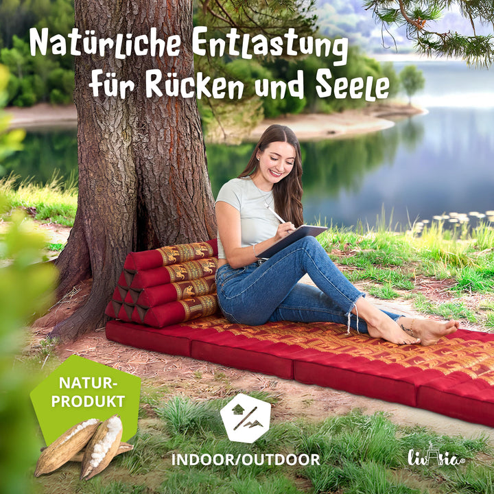 Rückenstützkissen Dreieck Thaiseide Kapok-Füllung 32x55x30cm - Bild 2