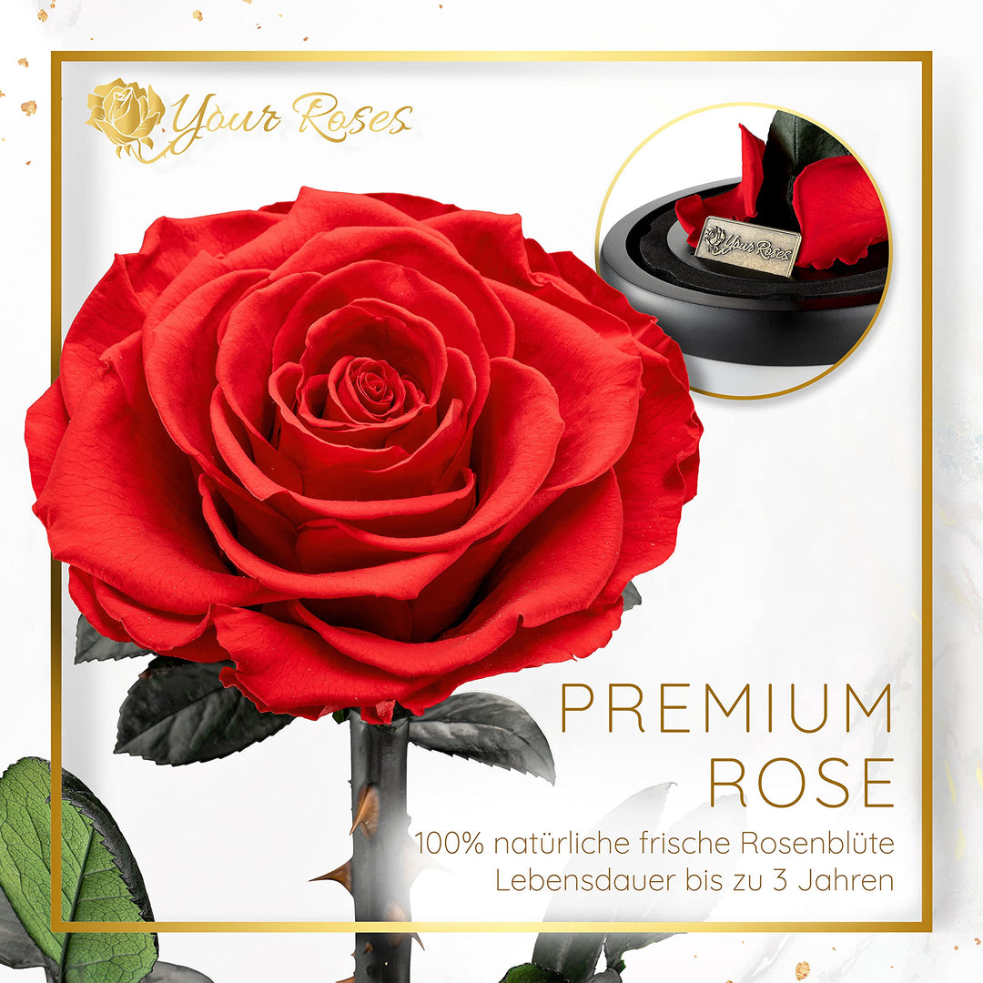 Echte Rose im Glas mit Geschenkbox Rot – Romantisches Geschenk - Bild 3