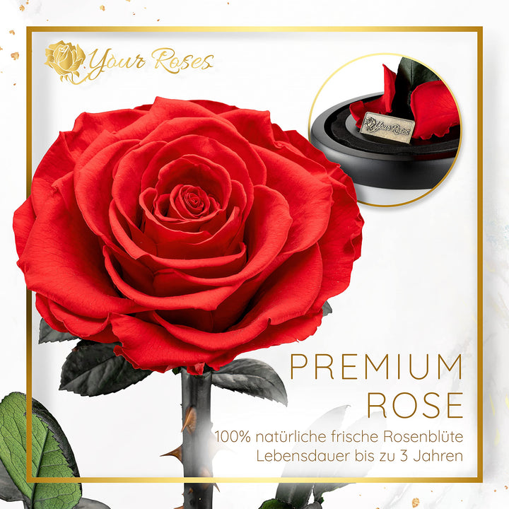 Echte Rose im Glas mit Geschenkbox Rot – Romantisches Geschenk - Bild 3