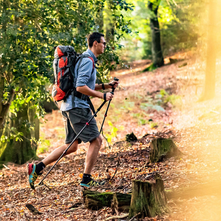 Trekkingstöcke Carbon mit Kork-Griff 105-135 cm für Damen &amp; Herren - Bild 6