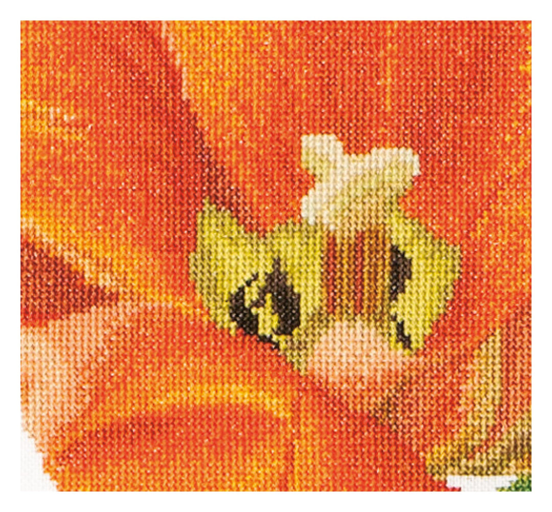 Kreuzstich-Set Triumph-Tulpe Orange Leinen 32 Count 34x36 cm - Bild 2