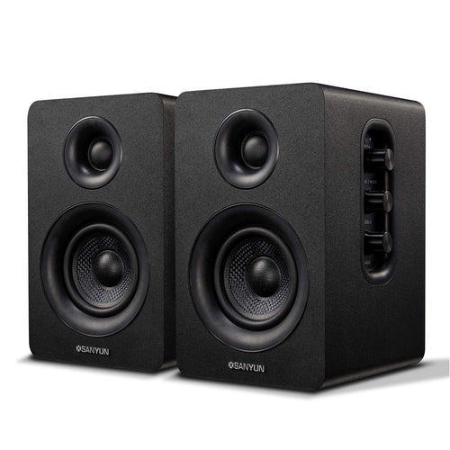 Regallautsprecher Aktiv 30W Kohlefaser Bluetooth 5.0 24-Bit-DAC