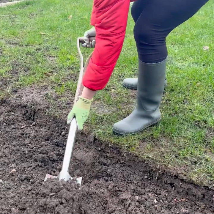 Beetspaten Edelstahl mit Hartholz-Y-Griff fuer Beete - Bild 5
