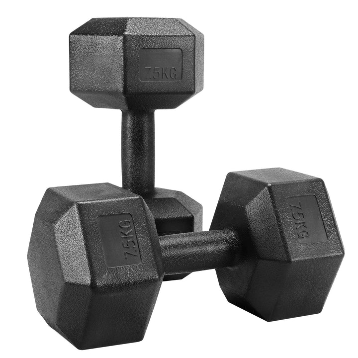 Kurzhantel-Set 2x7,5 kg Gusseisen mit PVC-Beschichtung sechseckig