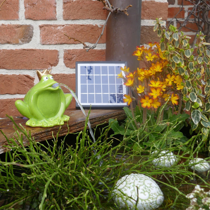 Wasserspeier Froschkönig Keramik mit Solarpumpe für Miniteich - Bild 5