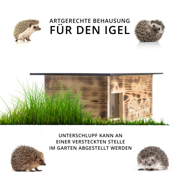 Igelhaus XXXL Vollholz 20mm mit Labyrintheingang und Rattenklappe - Bild 4
