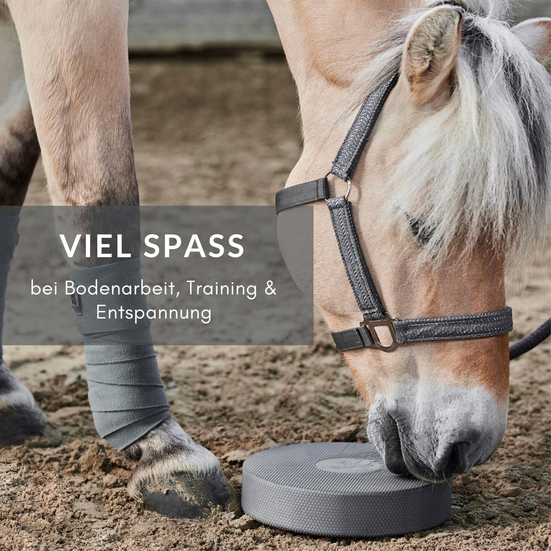Balance Pad Pferd 2er-Set Dunkelgrau 28x28x6 cm Bodenarbeit - Bild 7