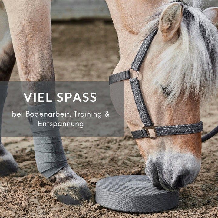 Balance Pad Pferd 2er-Set Dunkelgrau 28x28x6 cm Bodenarbeit - Bild 7