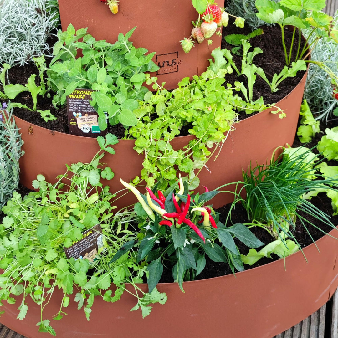 Kräuterspirale Edelrost 3 Ebenen Metall für Garten &amp; Terrasse - Bild 3