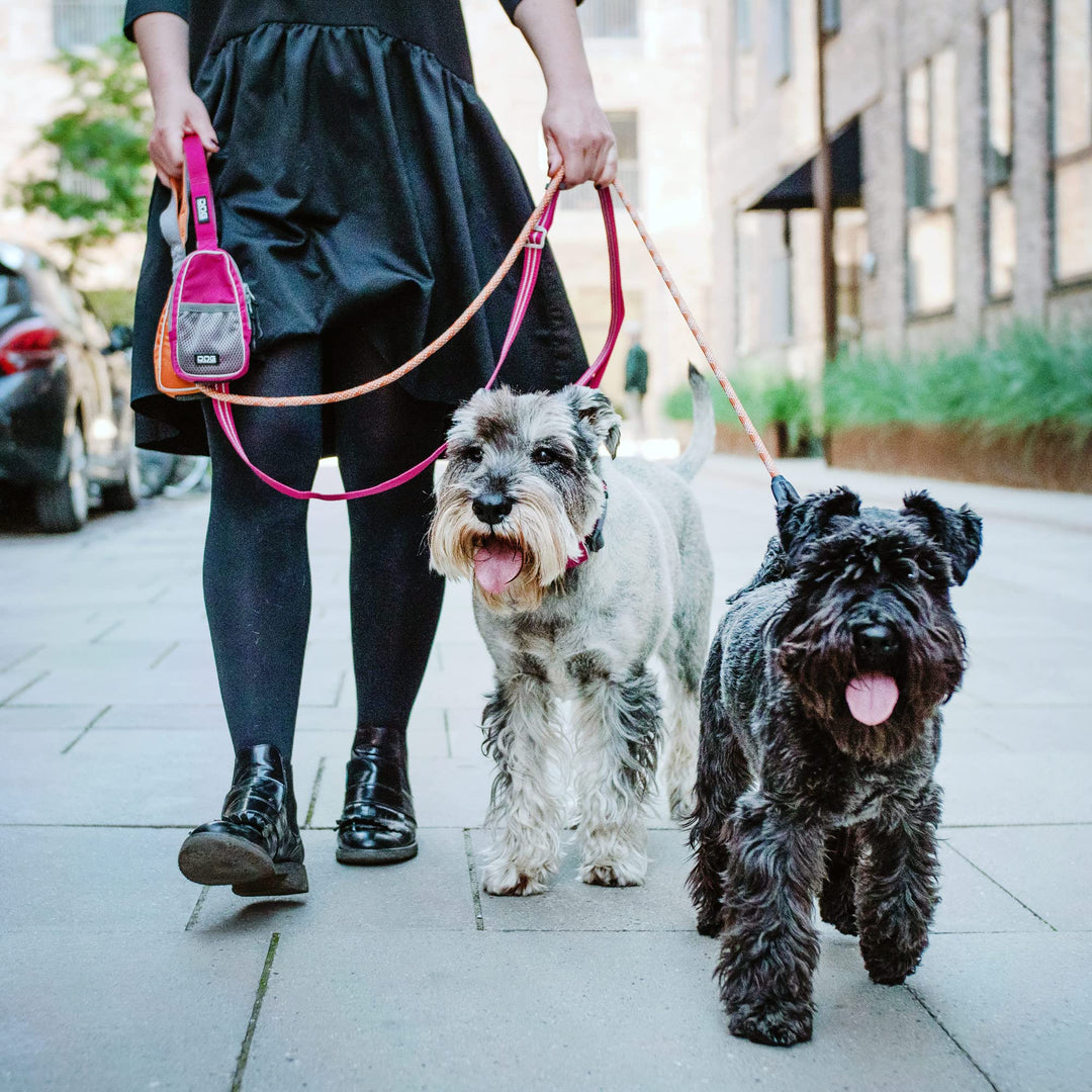 Hundetasche Leckerlibeutel mit Kotbeutelspender wasserabweisend lila - Bild 6