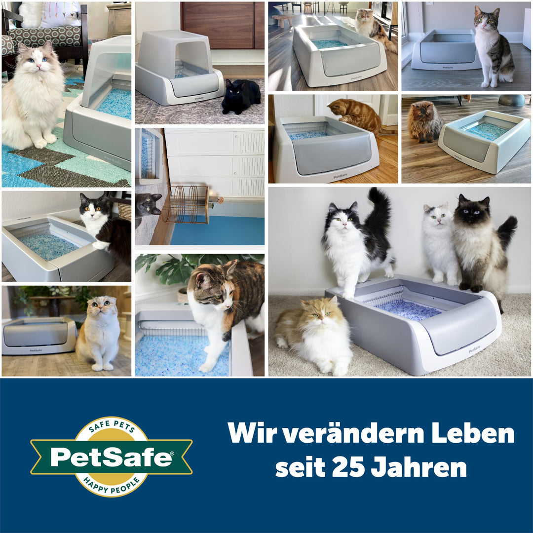 Kristall-Katzenstreu Blau 2x2 kg, 99% staubfrei, Geruchskontrolle - Bild 6