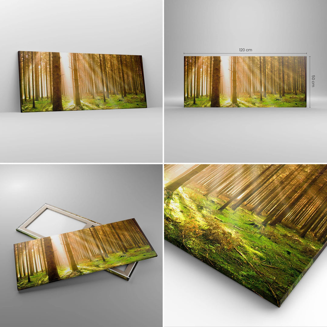 Leinwandbild Botanik Natur 120x50cm aufhängefertig - Bild 2