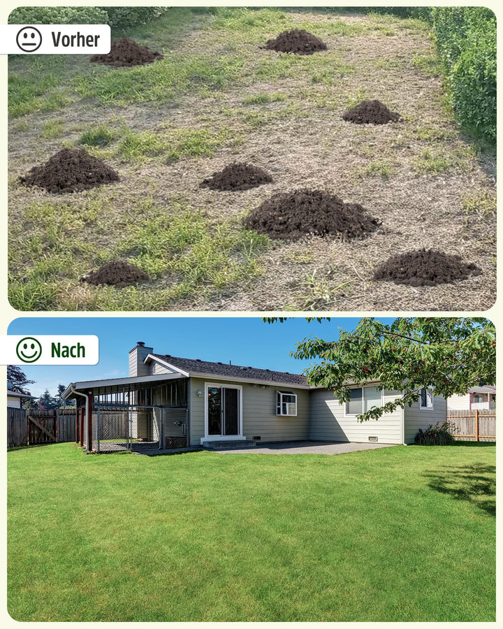 Rasen-Nivellierrechen 114x25cm mit 198cm Stiel für Garten und Rasen - Bild 7