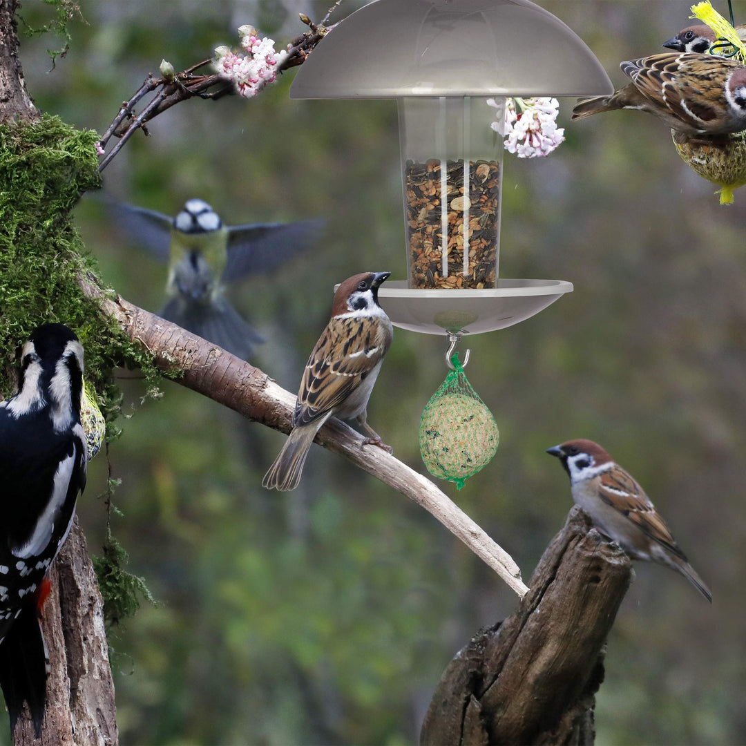 Vogelfutterspender Silo Kunststoff Edelstahl hängend oder stehend - Bild 3