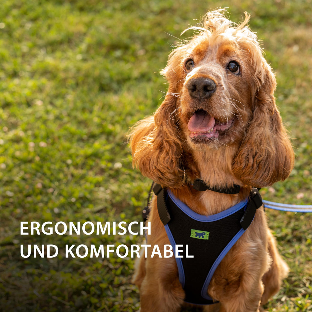 Hundegeschirr gepolstert Nylon Grösse L für Hunde bis 40 kg Blau - Bild 5