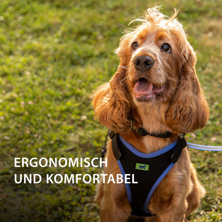 Hundegeschirr gepolstert Nylon Grösse L für Hunde bis 40 kg Blau - Bild 5