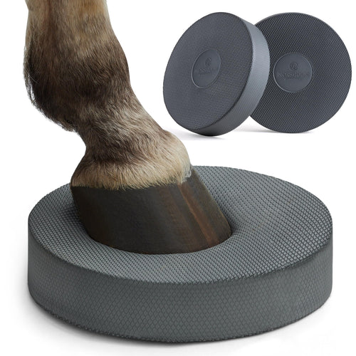 Balance Pad Pferd 2er-Set Dunkelgrau 28x28x6 cm Bodenarbeit