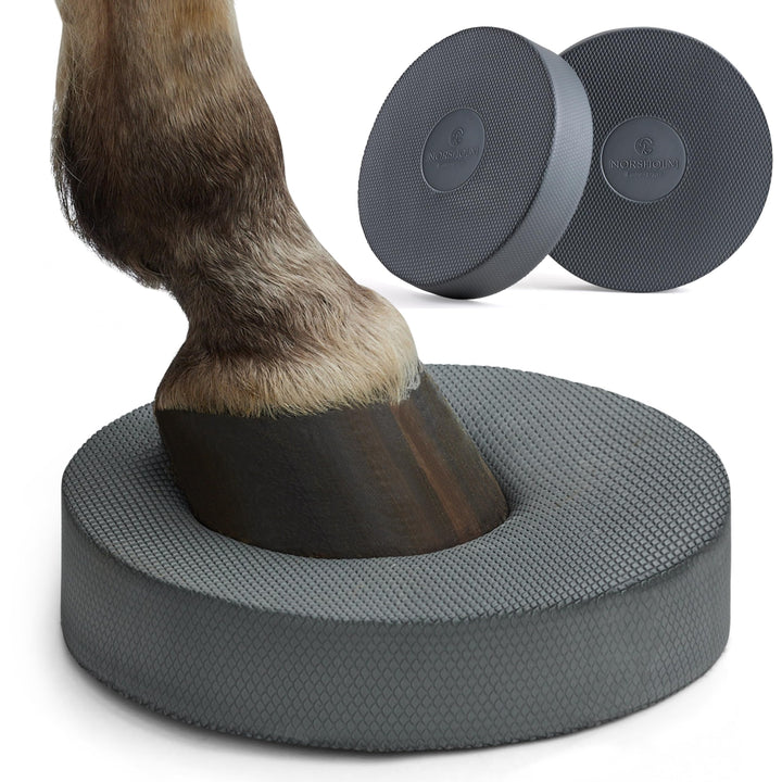 Balance Pad Pferd 2er-Set Dunkelgrau 28x28x6 cm Bodenarbeit