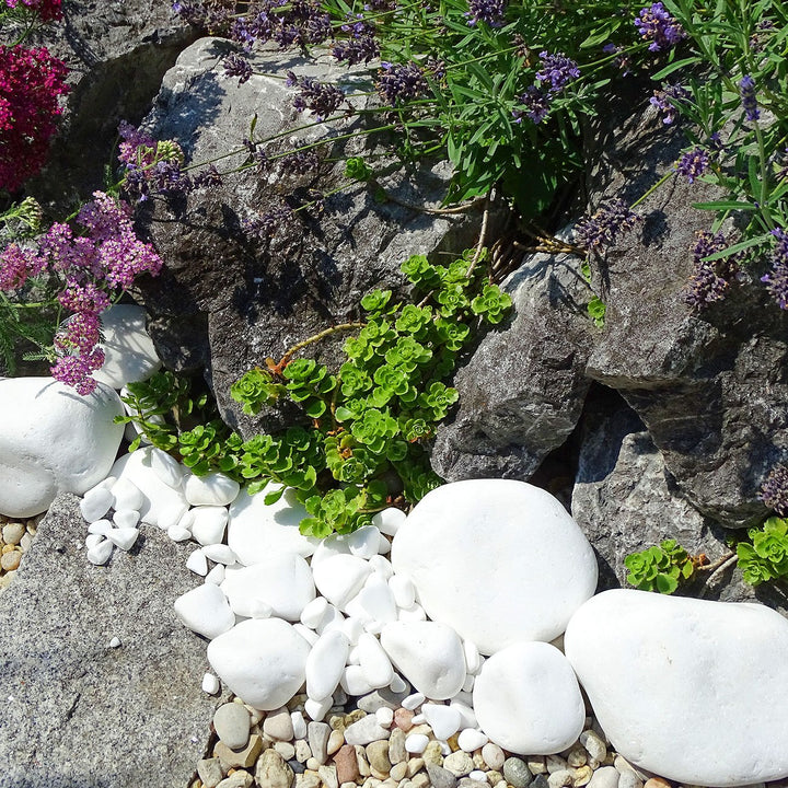Marmorkies Schneeweiss 25 kg Körnung 15–28 mm für Garten - Bild 6