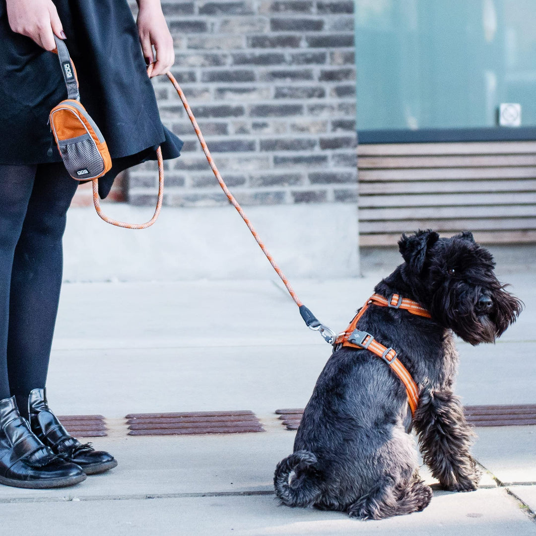 Hundetasche Leckerlibeutel mit Kotbeutelspender wasserabweisend lila - Bild 5