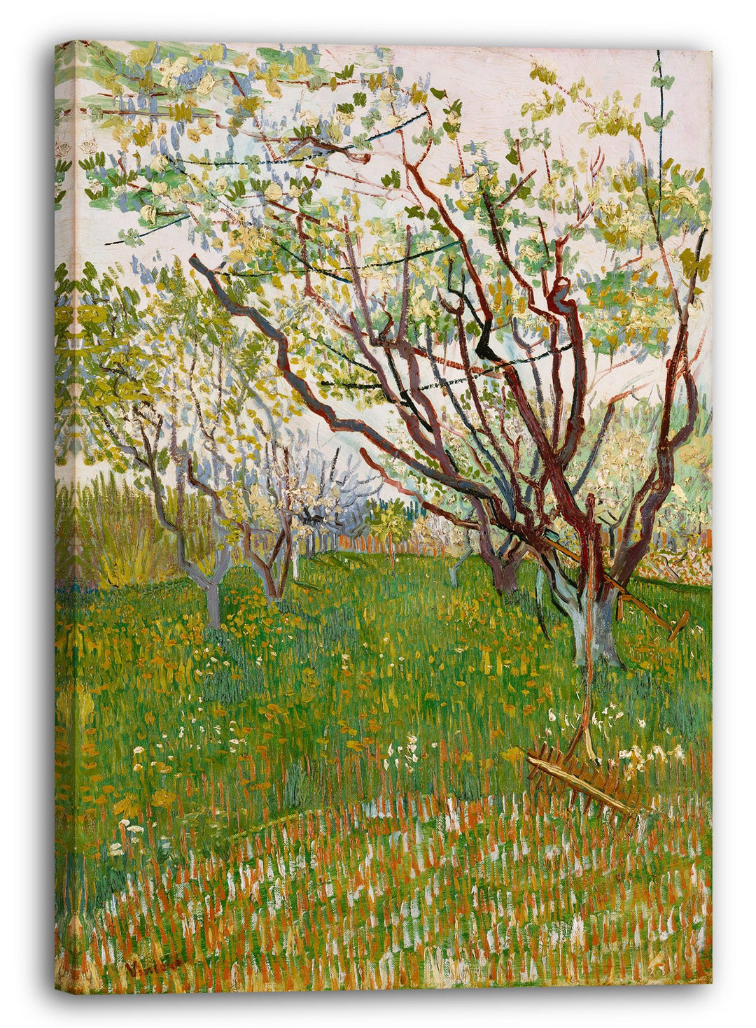 Leinwanddruck Van Gogh Blühender Obstgarten 60x80 cm Baumwolle