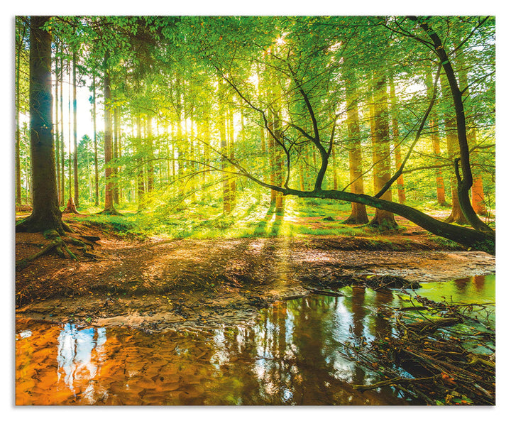 Küchenrückwand Alu Waldmotiv mit Bach 65x80 cm Spritzschutz