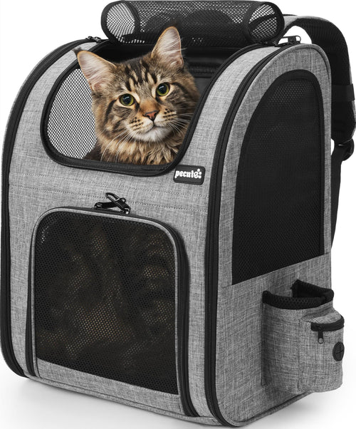 Haustier-Rucksack XL Mesh-Fenster für Katzen und Hunde bis 10 kg