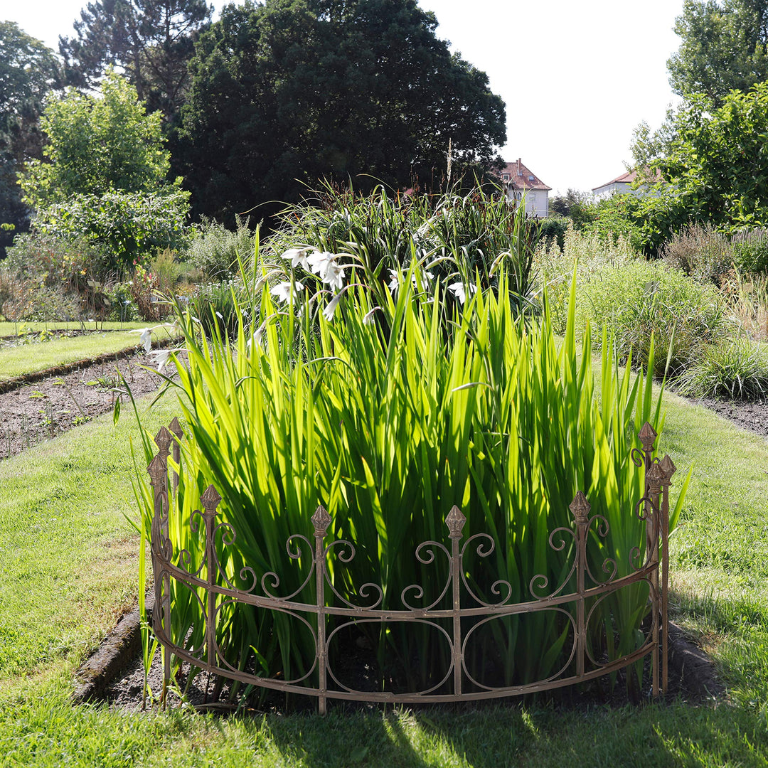 Staudenhalter Halbrund Volleisen Rost 70 cm breit Rankhilfe Garten - Bild 7