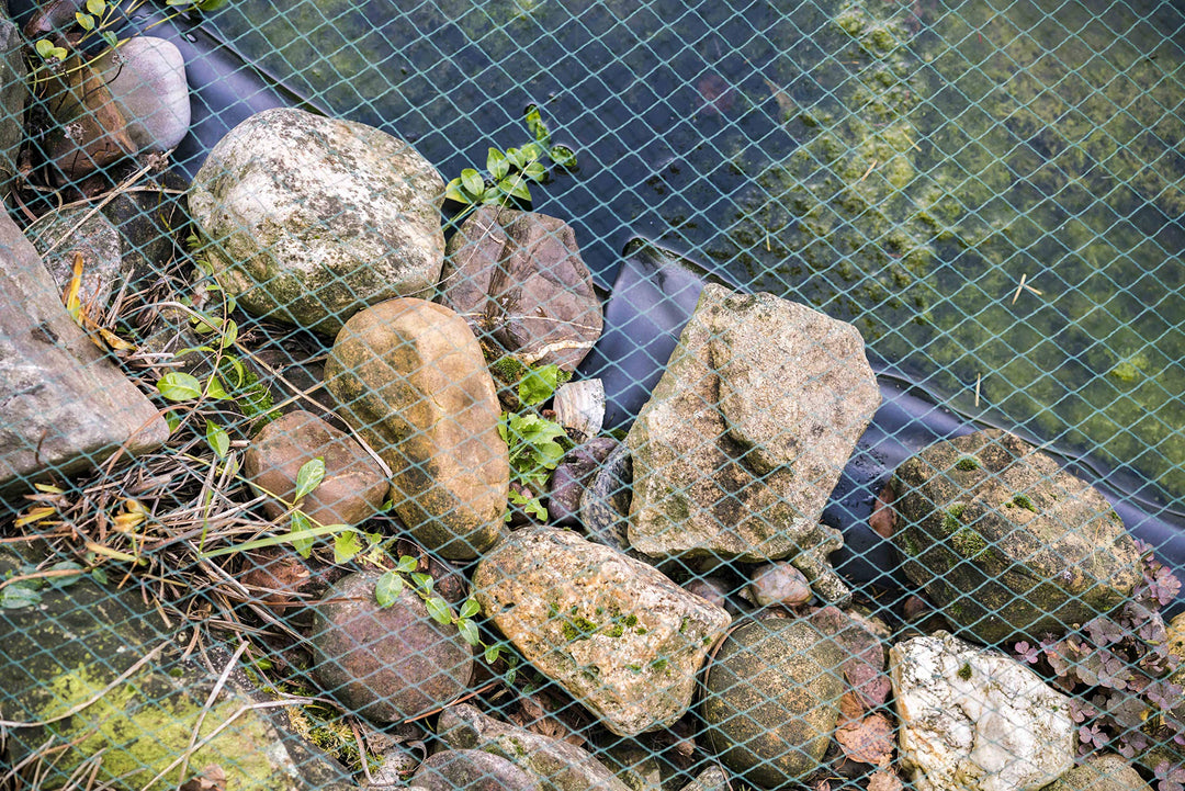Teichnetz 10x10m dunkelgrün engmaschig 12mm Laubnetz Vogelschutz - Bild 7